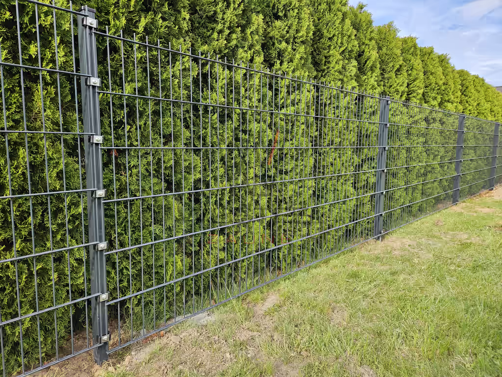 Zäune, Doppelstabmatten – doppelstabmatten-0018.avif